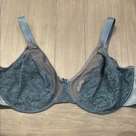 HSIA Other - HSIA Dark Teal Lace Bra 42DDD